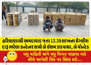 હરિયાણાથી અમદાવાદ જતા 13.39 લાખના ઇંગ્લીશ દારૂ ભરેલા કન્ટેનર સાથે બે ઇસમ ઝડપાયા, બે વોન્ટેડ