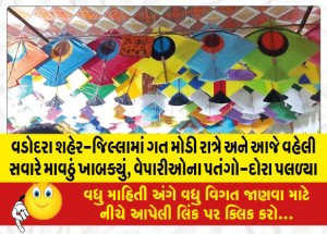 MailVadodara.com - In-Vadodara-city-district-late-last-night-and-early-this-morning-the-kites-of-the-traders-were-wet