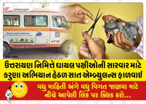 MailVadodara.com - Uttarayan-Nimit-allocated-seven-ambulances-under-Karuna-Abhiyan-for-treating-injured-birds