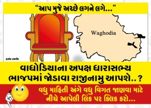 વાધોડિયાના અપક્ષ ધારાસભ્ય ભાજપમાં જોડાવા રાજીનામુ આપશે..?