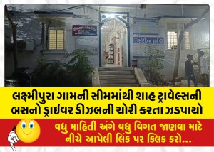 લક્ષ્મીપુરા ગામની સીમમાંથી શાહ ટ્રાવેલ્સની બસનો ડ્રાઇવર ડીઝલની ચોરી કરતા ઝડપાયો