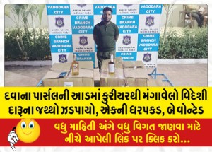 MailVadodara.com - Foreign-liquor-seized-from-courier-disguised-as-medicine-parcel-one-arrested-two-wanted