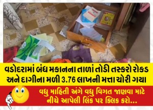 MailVadodara.com - In-Vadodara-thieves-broke-the-locks-of-a-closed-house-and-found-cash-and-jewelery-worth-3-76-lakhs