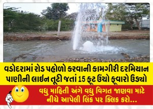 વડોદરામાં રોડ પહોળો કરવાની કામગીરી દરમિયાન પાણીની લાઇન તૂટી જતાં 15 ફૂટ ઉંચો ફૂવારો ઉડ્યો