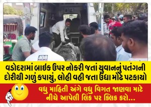 MailVadodara.com - While-going-to-work-on-a-bike-in-Vadodara-a-young-mans-throat-was-cut-by-a-kite-string-he-was-thrown-upside-down-while-bleeding