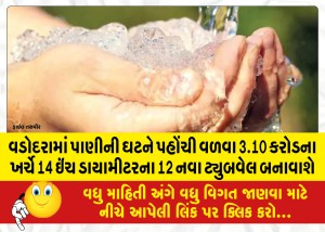 વડોદરામાં પાણીની ઘટને પહોંચી વળવા 3.10 કરોડના ખર્ચે 14 ઇંચ ડાયામીટરના 12 નવા ટ્યુબવેલ બનાવાશે