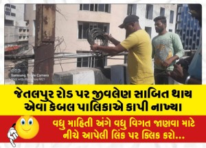 MailVadodara.com - Municipalities-cut-cables-that-proved-fatal-on-Jetalpur-Road