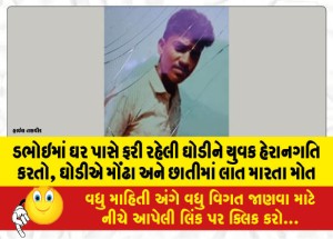 MailVadodara.com - In-Dabhoi-a-young-man-harasses-a-mare-running-near-a-house-the-mare-kicks-her-in-the-face-and-chest-and-dies