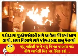 વડોદરામાં જીએસએફસી સામે આવેલા ગેરેજમાં આગ લાગી, ફાયર વિભાગે ભારે જહેમત બાદ કાબુ મેળવ્યો