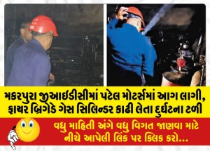 MailVadodara.com - A-fire-broke-out-at-Patel-Motors-in-Makarpura-GIDC-fire-brigade-removed-the-gas-cylinder-and-averted-the-accident