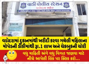 વડોદરામાં દુકાનમાંથી ખરીદી કરવા ગયેલી મહિલાના મોપેડની ડીકીમાંથી રૂા.1 લાખ અને ચેકબુકની ચોરી