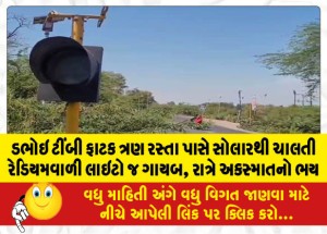 ડભોઇ ટીંબી ફાટક ત્રણ રસ્તા પાસે સોલારથી ચાલતી રેડિયમવાળી લાલ-લીલી લાઇટો ગાયબ, કેટલીક જગ્યાએ સોલાર પણ ગાયબ