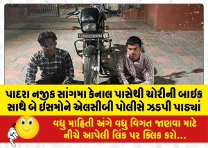 પાદરા નજીક સાંગમા કેનાલ પાસેથી ચોરીની બાઇક સાથે બે ઇસમોને એલસીબી પોલીસે ઝડપી પાડ્યાં