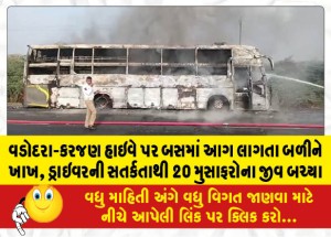 વડોદરા-કરજણ હાઇવે પર બસમાં આગ લાગતા બળીને ખાખ, ડ્રાઇવરની સતર્કતાથી 20 મુસાફરોના જીવ બચ્યા