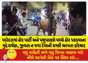 MailVadodara.com - Clash-between-cattle-party-and-herdsmen-in-Vadodara-over-cattle-capture-complaint-threatening-not-to-let-them-go-alive