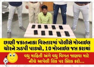 MailVadodara.com - Police-nabbed-a-mobile-thief-in-Chhani-Jakatnaka-area-10-mobiles-were-seized