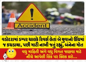 વડોદરામાં ડમ્પર ચાલકે રિવર્સ લેતાં બે યુવાનો ઊંઘમાં જ કચડાયા, પછી માટી નાખી જતું રહ્યું, બંનેના મોત