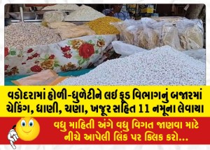 વડોદરામાં હોળી-ધુળેટીને લઇ ફૂડ વિભાગનું બજારમાં ચેકિંગ, ધાણી, ચણા, ખજૂર સહિત 11 નમૂના લેવાયા