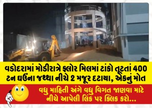 MailVadodara.com - 2-laborers-buried-under-400-tonnes-of-wheat-in-flour-mill-in-Vadodara-late-night-one-dead