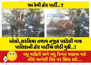 MailVadodara.com - Speak-the-cow-caught-near-Sarsia-lake-was-released-by-the-municipal-cattle-party
