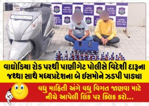 વાઘોડિયા રોડ પરથી પાણીગેટ પોલીસે વિદેશી દારૂના જથ્થા સાથે મધ્યપ્રદેશના બે ઇસમોને ઝડપી પાડ્યા