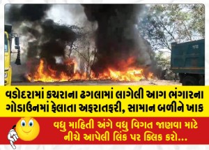 MailVadodara.com - Garbage-dump-fire-in-Vadodara-spreads-havoc-in-scrap-godown-goods-burnt