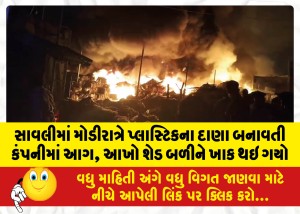 MailVadodara.com - A-fire-broke-out-in-a-plastic-granule-manufacturing-company-in-Savli-late-at-night-the-entire-shed-was-gutted