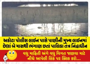 MailVadodara.com - Despite-the-failure-of-the-main-water-line-near-Akota-police-line-for-the-past-two-months-the-municipal-system-remains-dormant