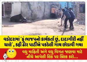 MailVadodara.com - I-am-a-BJP-worker-bullying-will-not-happen-3-persons-released-a-cow-caught-by-the-municipal-cattle-party