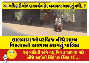 MailVadodara.com - A-municipality-giving-the-impression-of-a-rural-area-under-the-Lalbagh-overbridge