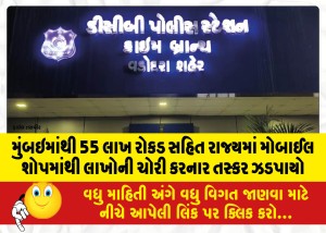 મુંબઇમાંથી 55 લાખ રોકડ સહિત રાજ્યમાં મોબાઈલ શોપમાંથી લાખોની ચોરી કરનાર તસ્કર ઝડપાયો