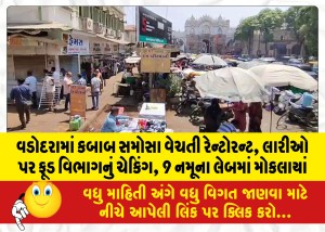 વડોદરામાં કબાબ સમોસા વેચતી રેન્ટોરન્ટ, લારીઓ પર ફૂડ વિભાગનું ચેકિંગ, 9 નમૂના લેબમાં મોકલાયાં