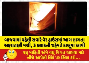 બાજવામાં વહેલી સવારે વેર હાઉસમાં આગ લાગતા અફરાતફરી મચી, 3 કલાકની જહેમતે કાબૂમાં આવી