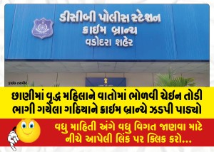 છાણીમાં વૃદ્ધ મહિલાને વાતોમાં ભોળવી ચેઇન તોડી ભાગી ગયેલા ગઠિયાને ક્રાઇમ બ્રાન્ચે ઝડપી પાડ્યો