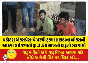 વડોદરા એક્સપ્રેસ-વે પરથી ટ્રકમાં લાકડાના બોક્સની આડમાં લઇ જવાતો રૂા.3.50 લાખનો દારૂનો ઝડપાયો