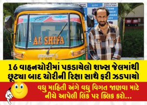 MailVadodara.com - 16-A-person-caught-in-vehicle-theft-was-caught-again-with-a-stolen-rickshaw-after-being-released-from-jail