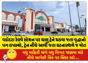 MailVadodara.com - Elderly-mans-foot-slipped-while-boarding-a-moving-train-at-Vadodara-railway-station-died-on-the-spot-when-the-train-came-down