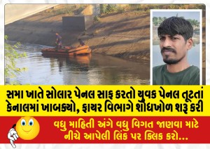 MailVadodara.com - Youth-cleaning-solar-panels-at-Sama-falls-into-canal-after-panel-breaks-fire-department-starts-search