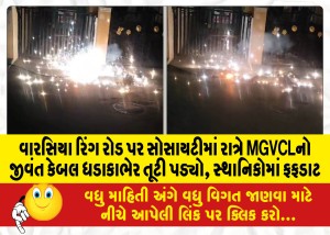 MailVadodara.com - Live-cable-of-MGVCL-snaps-at-night-in-Society-on-Warsia-Ring-Road-sparks-uproar-among-locals