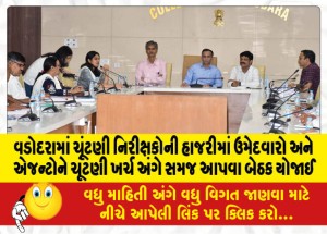 MailVadodara.com - A-meeting-was-held-in-Vadodara-to-brief-candidates-and-agents-about-election-expenses-in-the-presence-of-election-observers
