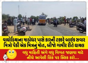 MailVadodara.com - One-of-the-bike-riding-friends-was-killed-and-the-other-seriously-injured-after-being-hit-by-a-car-near-Madodar-in-Waghodia