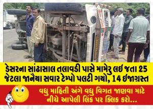 MailVadodara.com - As-many-as-25-Janaiya-riders-carrying-Mameru-overturned-near-Sandhasal-Talavadi-in-Deser-14-injured