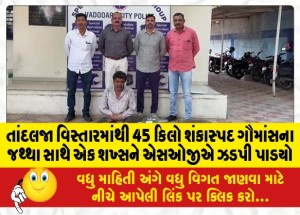 MailVadodara.com - SOG-nabs-a-man-with-45-kg-of-suspected-beef-from-Tandalja-area