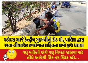 MailVadodara.com - Vadodara-Today-Union-Home-Ministers-Road-Show-Municipality-undertakes-road-divider-painting-works