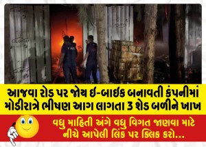 MailVadodara.com - 3-sheds-gutted-in-late-night-fire-at-Joy-E-Bike-manufacturing-company-on-Ajwa-Road