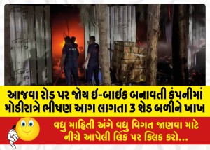 આજવા રોડ પર જોય ઇ-બાઇક બનાવતી કંપનીમાં મોડીરાત્રે ભીષણ આગ લાગતા 3 શેડ બળીને ખાખ