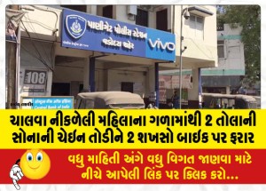MailVadodara.com - After-breaking-the-2-tola-gold-chain-from-the-neck-of-a-walking-woman-2-persons-escaped-on-a-bike
