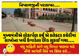 MailVadodara.com - The-plants-grown-at-the-cost-of-lakhs-dried-up-in-the-Collectors-office-when-the-Chief-Minister-inaugurated-it