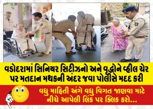 MailVadodara.com - In-Vadodara-senior-citizens-and-the-elderly-on-wheel-chairs-were-helped-by-the-police-to-enter-the-polling-station