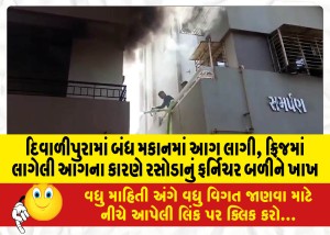 MailVadodara.com - A-fire-broke-out-in-a-closed-house-in-Diwalipura-the-kitchen-furniture-was-burnt-due-to-the-fire-in-the-fridge